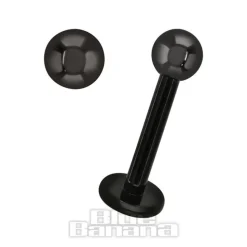 Blue Banana Black Titanium 1.2mm Labret (Black)