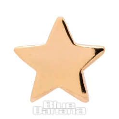 Blue Banana Cubic Zirconia Star 14k Gold Threadless Top (Gold)