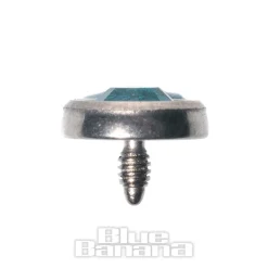 Blue Banana 5mm Dermal Top (Aqua)