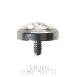 Blue Banana 5mm Glitter Dermal Top (Crystal Clear)