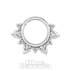 Blue Banana Polished Titanium 1.2 X 8mm Hinged Segment Ring Crystal Hearts (Silver)