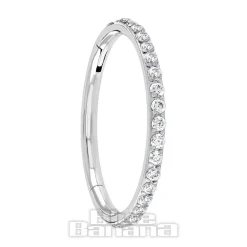 Blue Banana Polished Titanium Eternity Hinged Segment Ring (Silver)