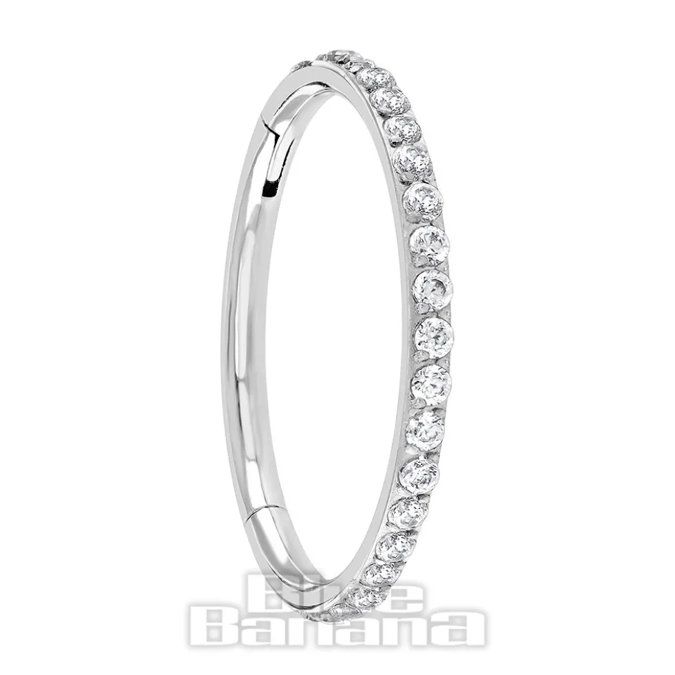 Blue Banana Polished Titanium Eternity Hinged Segment Ring (Silver)