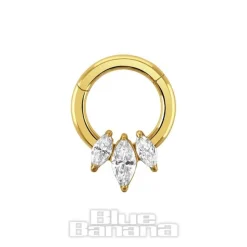 Blue Banana Polished Titanium 3 Stone Hinged Segment Ring (Gold)