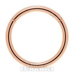 Blue Banana Rose Gold 1.2mm Hinged Segment Ring (Half Opal)