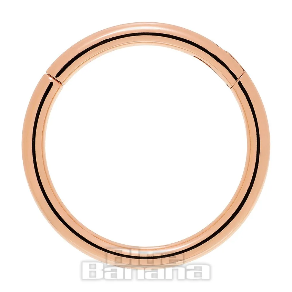 Blue Banana Rose Gold 1.2mm Hinged Segment Ring (Half Opal)