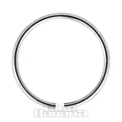 Blue Banana Silver 1.0g Seamless Nose Ring (Silver)