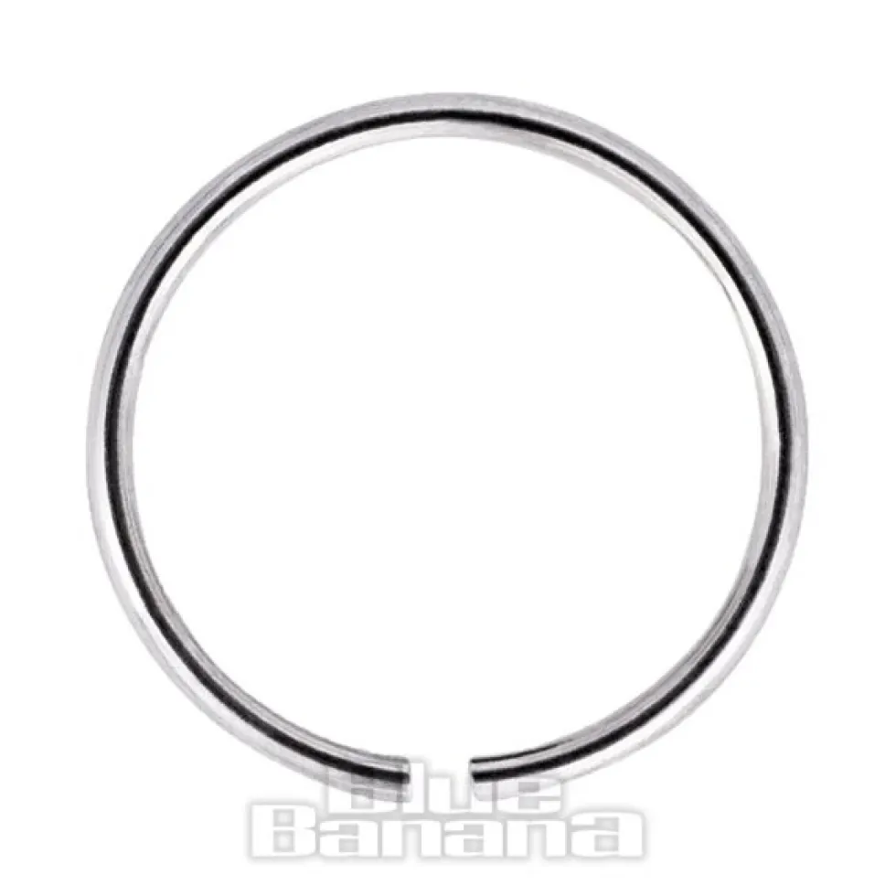 Blue Banana Silver 1.0g Seamless Nose Ring (Silver)