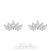 Blue Banana Surgical Steel Cubic Zirconia 5 Ear Studs (Silver)