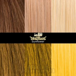 La Riche Directions Colour Hair Dye 4 Pack 88ml (Sunflower)