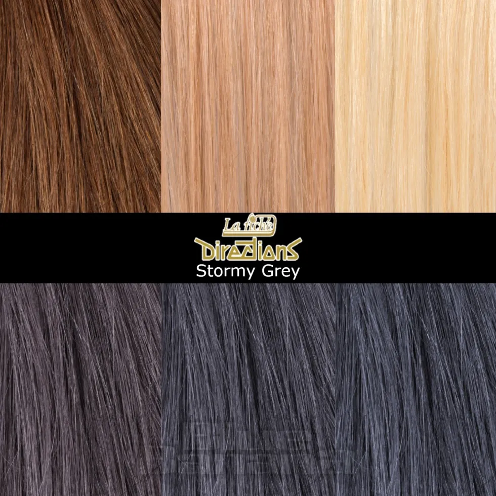 La Riche Directions Colour Hair Dye 100ml (Stormy Grey)