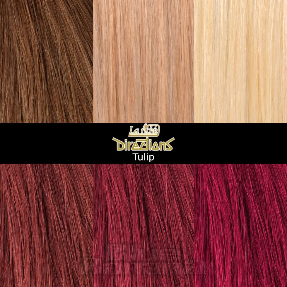 La Riche Directions Colour Hair Dye 88ml (Tulip)