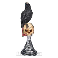 Nemesis Now Perched Prophecy Raven (Black)